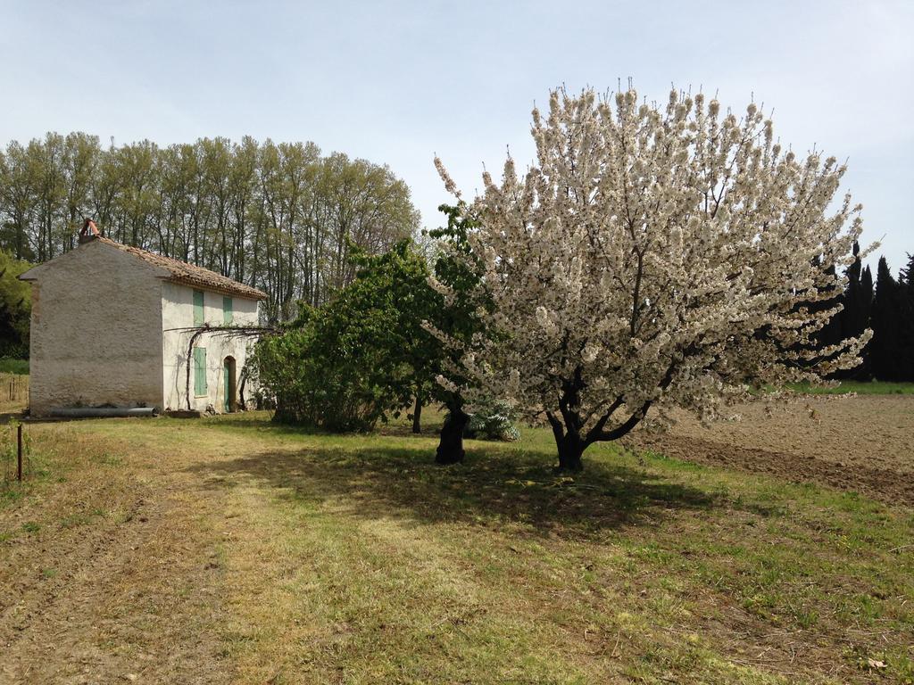 La Maison Du Peintre En Provence Mallemort Esterno foto